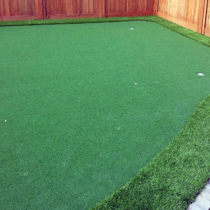 Fake Grass Carpet Minkler, California Landscaping Business, Backyard