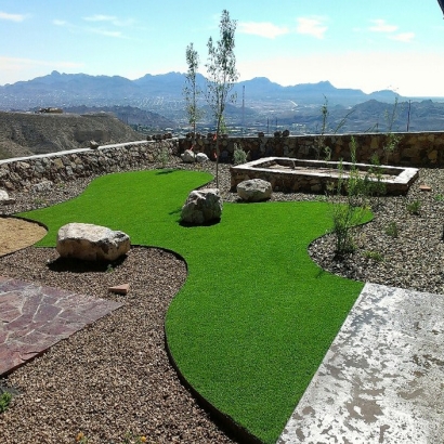 Fake Grass Carpet San Jacinto, California Home And Garden, Backyard Landscape Ideas