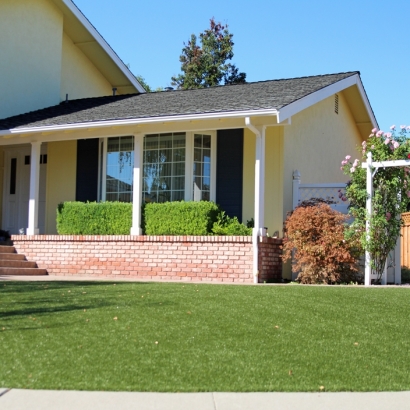 Fake Grass Carpet Seacliff, California Home And Garden, Landscaping Ideas For Front Yard