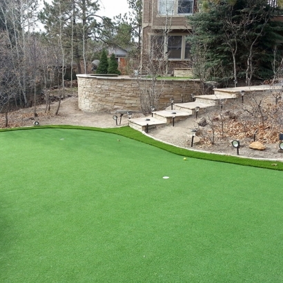 Fake Grass Carpet Seaside, California Home Putting Green, Backyard Ideas