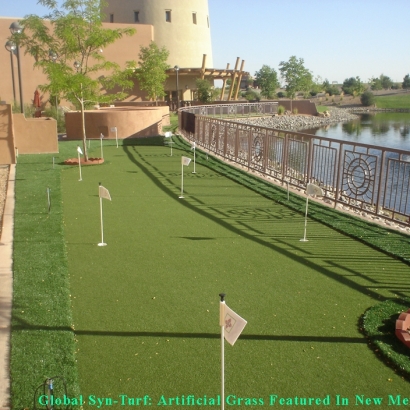 Fake Grass East Los Angeles, California Putting Green, Backyard Landscape Ideas