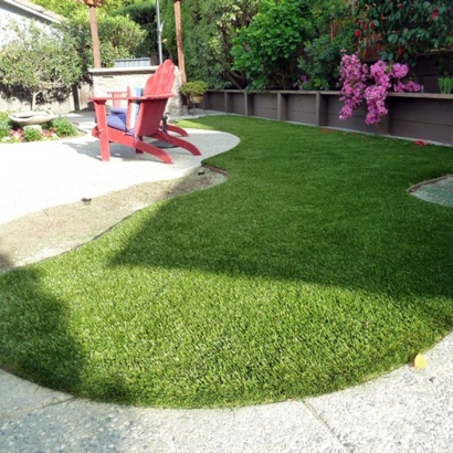 Fake Grass East Sonora, California Gardeners, Backyard Landscaping Ideas
