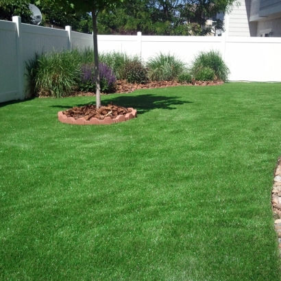 Fake Grass Pico Rivera, California Landscaping, Backyards