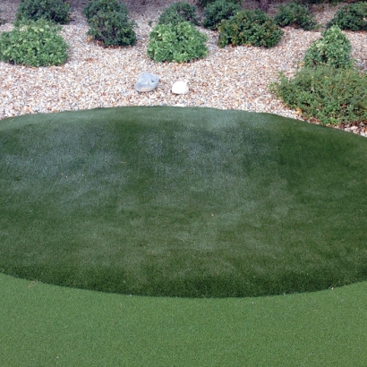 Fake Grass Pixley, California Outdoor Putting Green