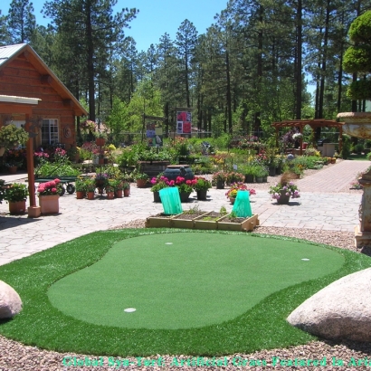 Fake Grass Vernon, California Backyard Putting Green, Backyard Landscaping