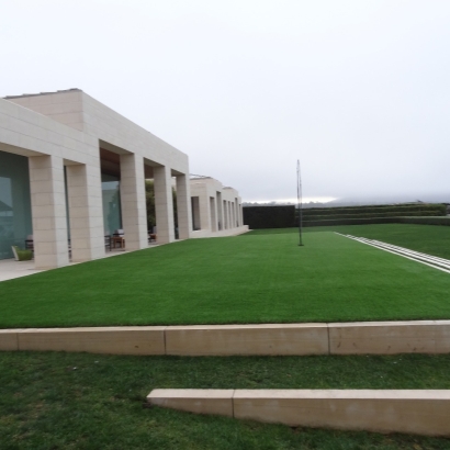 Fake Grass Westmont, California City Landscape, Commercial Landscape