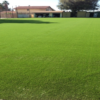 Fake Lawn Hartland, California Sports Turf, Recreational Areas