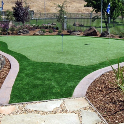 Fake Lawn Lamont, California Landscape Design, Beautiful Backyards