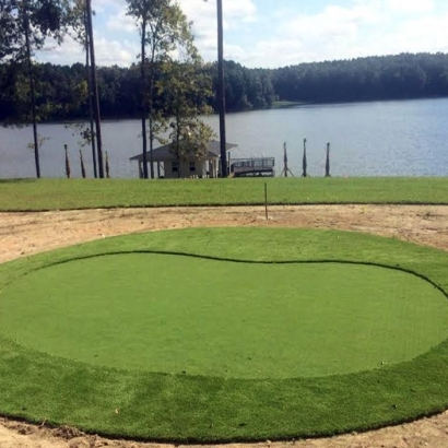 Fake Lawn Tranquillity, California Indoor Putting Greens