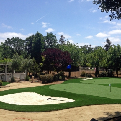 Fake Turf Glendora, California Roof Top, Landscaping Ideas For Front Yard