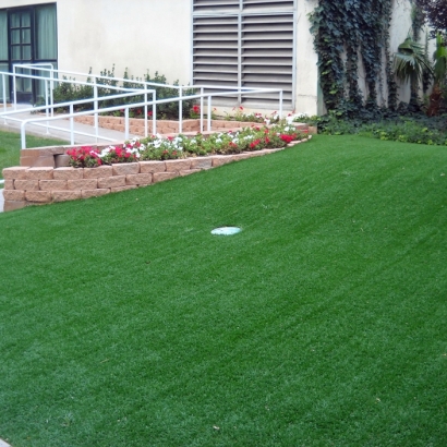 Fake Turf Malaga, California Putting Green Carpet, Front Yard Landscape Ideas