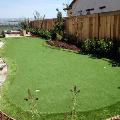 Fake Turf San Pasqual, California Putting Green Carpet, Backyard Landscaping