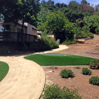 Faux Grass South Dos Palos, California Landscaping, Front Yard Landscape Ideas