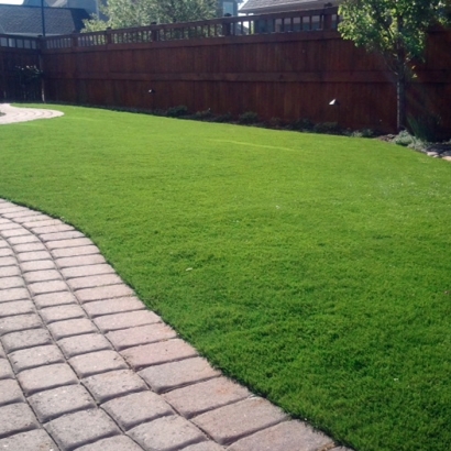 Grass Carpet Carson, California Landscape Rock, Small Backyard Ideas