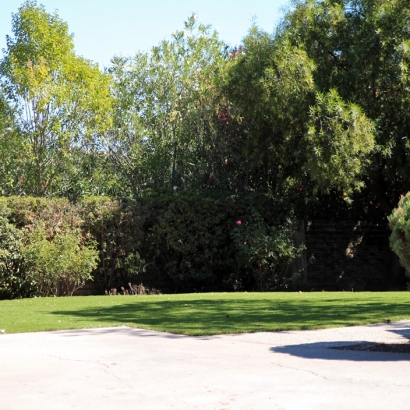 Grass Carpet Chula Vista, California Dog Parks, Front Yard Landscape Ideas