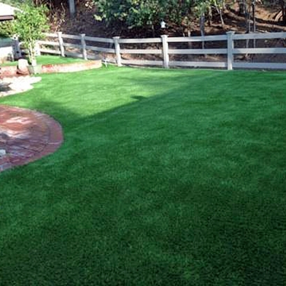 Grass Carpet Fresno, California Drainage, Backyard Designs