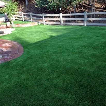 Grass Carpet Fresno, California Drainage, Backyard Designs