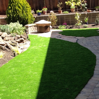 Grass Carpet Manteca, California Landscape Ideas