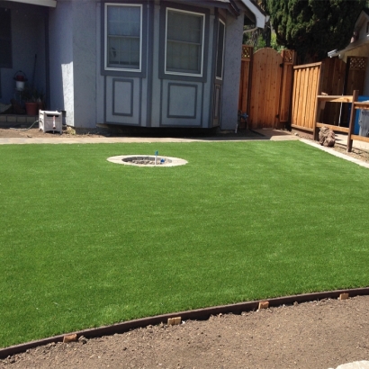 Grass Carpet Westley, California Gardeners, Backyard