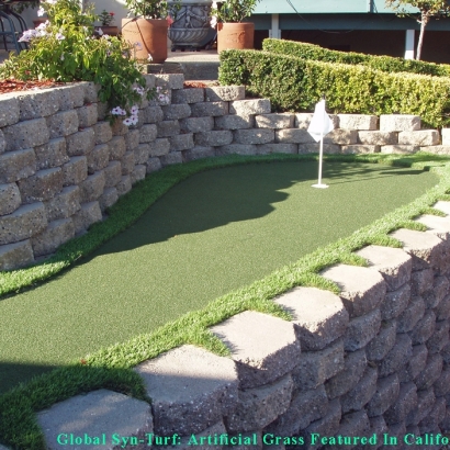 Grass Turf Maywood, California Landscape Ideas, Backyards