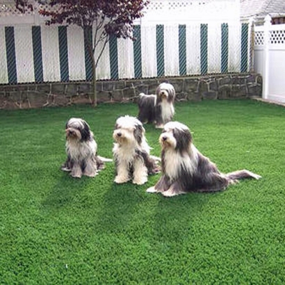 Grass Turf Richgrove, California Lawn And Garden, Backyard