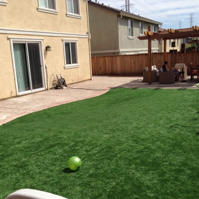 Green Lawn Avery, California Landscaping, Backyard Designs