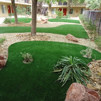 Green Lawn Mojave, California Backyard Deck Ideas, Commercial Landscape