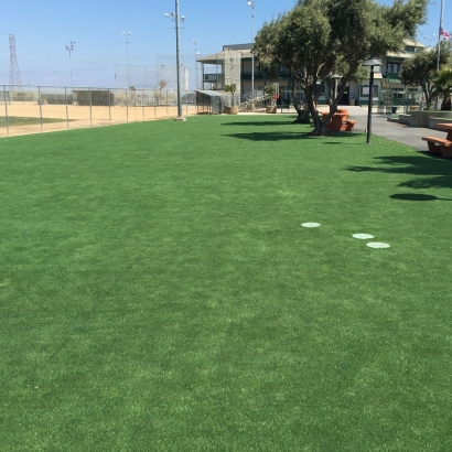 Green Lawn Peters, California Backyard Deck Ideas, Parks