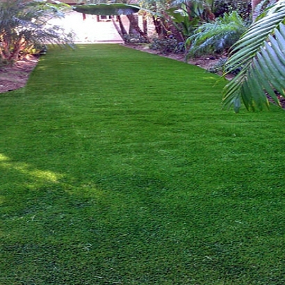 Green Lawn Round Valley, California Roof Top, Backyards