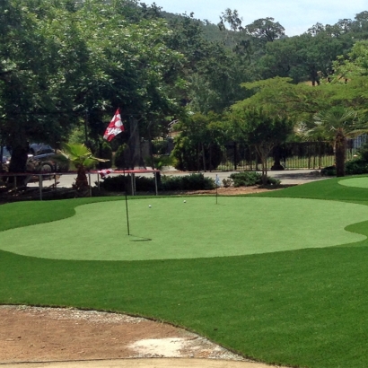 How To Install Artificial Grass Pacific Grove, California Landscape Photos, Small Front Yard Landscaping