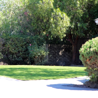 Installing Artificial Grass Buttonwillow, California Dog Running, Front Yard Landscaping