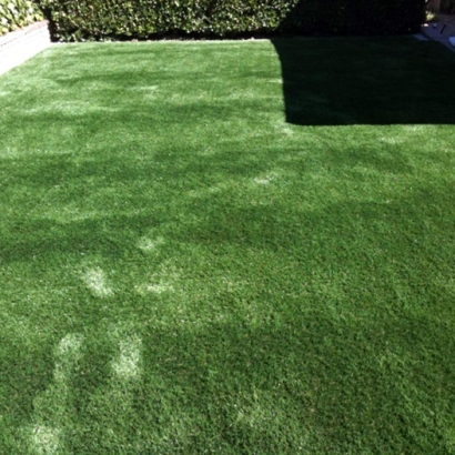 Installing Artificial Grass Plainview, California Hotel For Dogs, Backyard Design