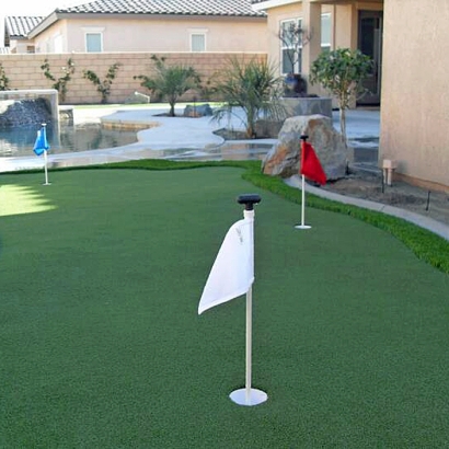 Lawn Services Castroville, California Putting Green Carpet, Backyard Makeover