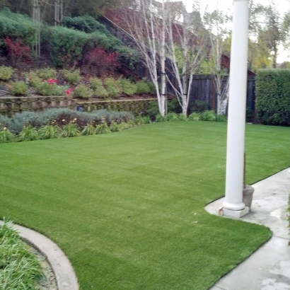 Lawn Services Lake of the Woods, California Artificial Turf For Dogs, Backyard Garden Ideas