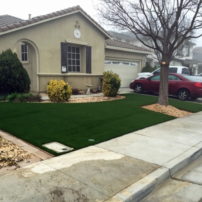 Outdoor Carpet Bridgeport, California Design Ideas, Front Yard Landscaping Ideas