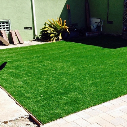 Outdoor Carpet Dustin Acres, California Fake Grass For Dogs, Dog Kennels