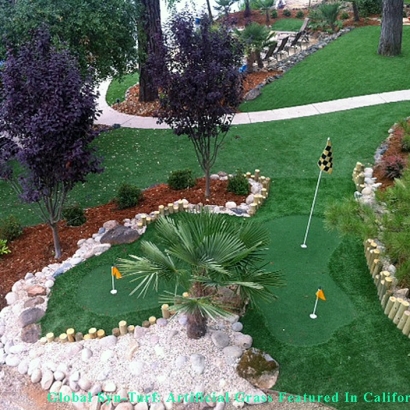 Outdoor Carpet Los Angeles, California Lawns, Backyard Landscape Ideas