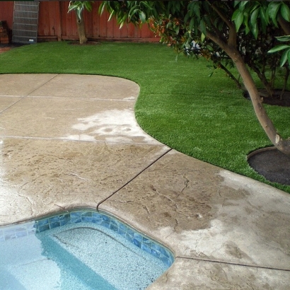 Plastic Grass Azusa, California Landscaping Business, Above Ground Swimming Pool
