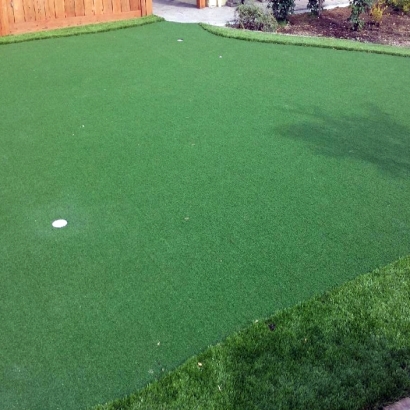 Plastic Grass San Luis Obispo, California Putting Green Flags