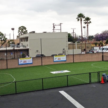 Plastic Grass South Whittier, California Football Field, Commercial Landscape