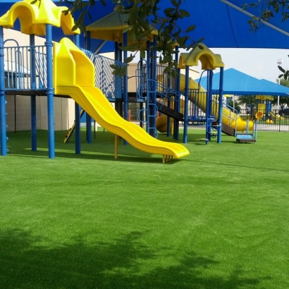 Synthetic Grass Alpaugh, California Landscaping Business, Commercial Landscape