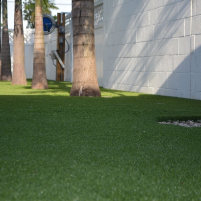 Synthetic Grass Brookdale, California Gardeners, Commercial Landscape