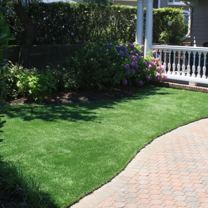 Synthetic Grass Cost East Porterville, California Landscaping Business, Front Yard Landscaping Ideas