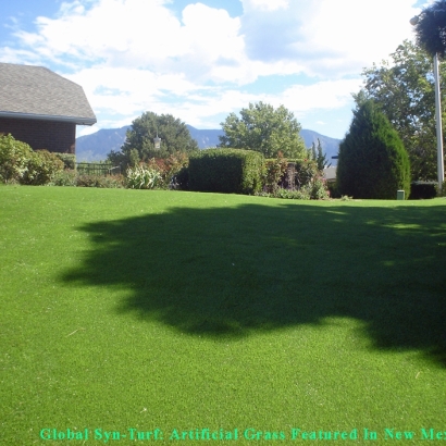 Synthetic Grass Cost Hollywood, California Dog Parks, Backyard Designs