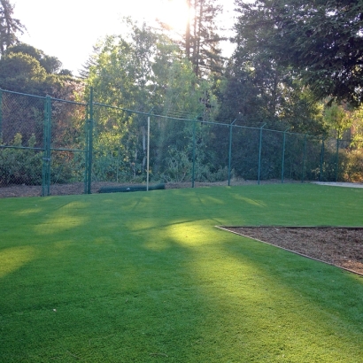 Synthetic Grass Cost Lake Forest, California Lawn And Garden, Recreational Areas