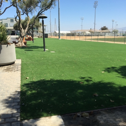 Synthetic Grass Cost Lathrop, California Rooftop, Parks