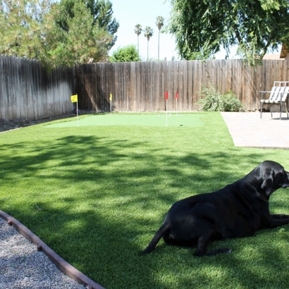 Synthetic Grass Cost Pasatiempo, California Indoor Putting Green, Dog Kennels