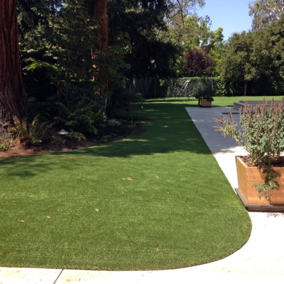 Synthetic Grass Cost Piru, California Garden Ideas, Front Yard Ideas