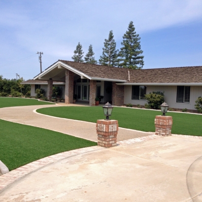 Synthetic Grass Live Oak, California Garden Ideas, Front Yard Ideas