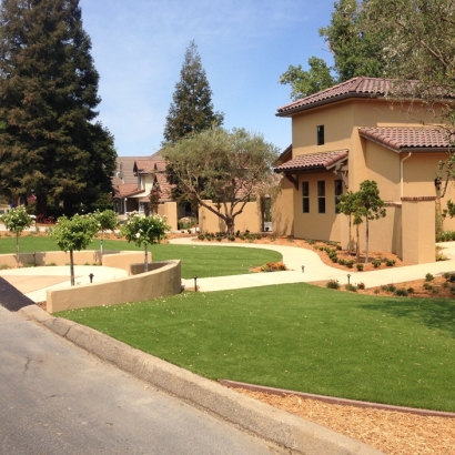 Synthetic Grass Newport Beach, California Landscaping Business, Front Yard Design